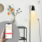 The Dimmer